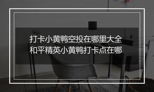 打卡小黄鸭空投在哪里大全 和平精英小黄鸭打卡点在哪