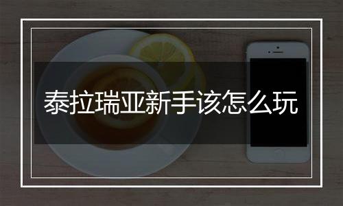 泰拉瑞亚新手该怎么玩