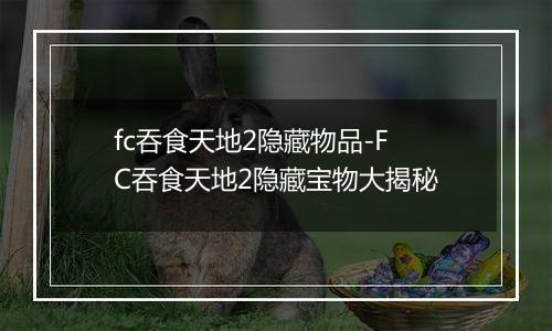 fc吞食天地2隐藏物品-FC吞食天地2隐藏宝物大揭秘