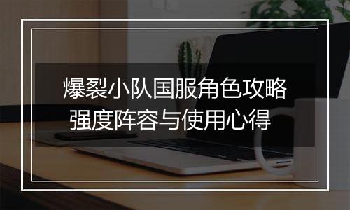 爆裂小队国服角色攻略 强度阵容与使用心得
