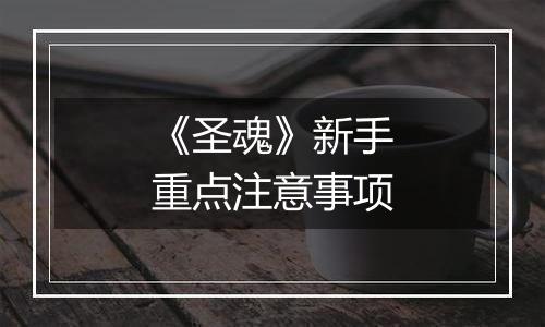 《圣魂》新手重点注意事项