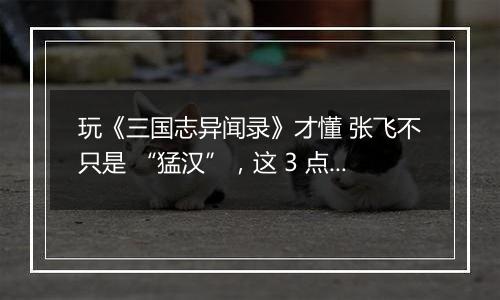 玩《三国志异闻录》才懂 张飞不只是 “猛汉”,这 3 点超圈粉