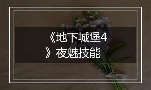 《地下城堡4》夜魅技能