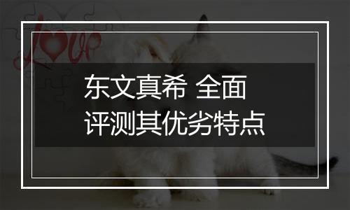 东文真希 全面评测其优劣特点