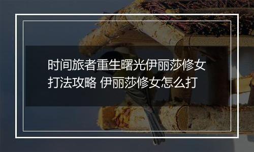 时间旅者重生曙光伊丽莎修女打法攻略 伊丽莎修女怎么打