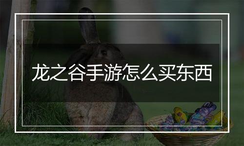 龙之谷手游怎么买东西