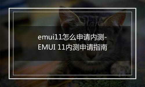 emui11怎么申请内测-EMUI 11内测申请指南
