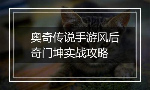 奥奇传说手游风后奇门坤实战攻略