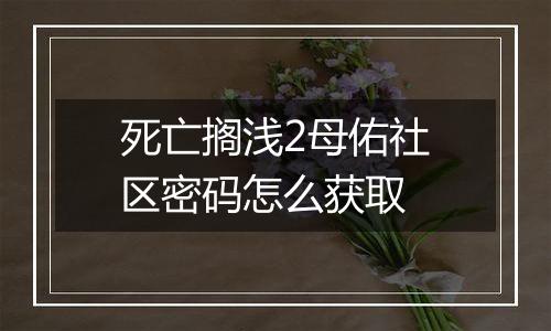 死亡搁浅2母佑社区密码怎么获取