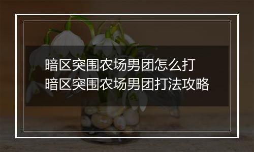 暗区突围农场男团怎么打 暗区突围农场男团打法攻略