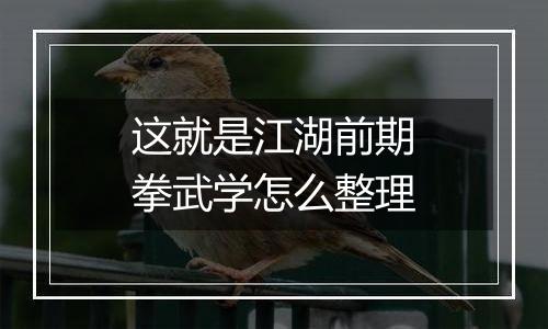 这就是江湖前期拳武学怎么整理