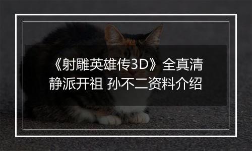 《射雕英雄传3D》全真清静派开祖 孙不二资料介绍