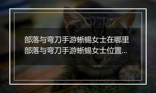 部落与弯刀手游蜥蜴女士在哪里 部落与弯刀手游蜥蜴女士位置介绍