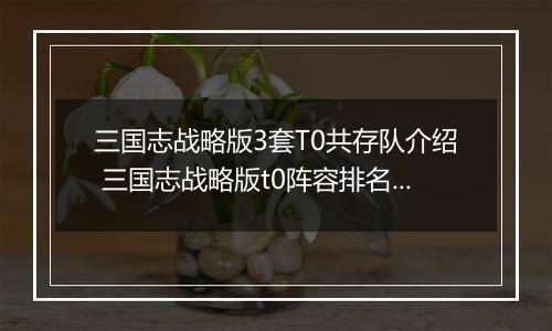 三国志战略版3套T0共存队介绍 三国志战略版t0阵容排名有哪些