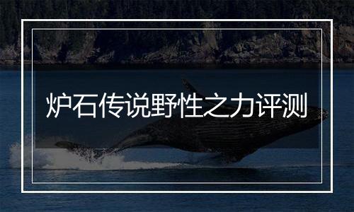 炉石传说野性之力评测