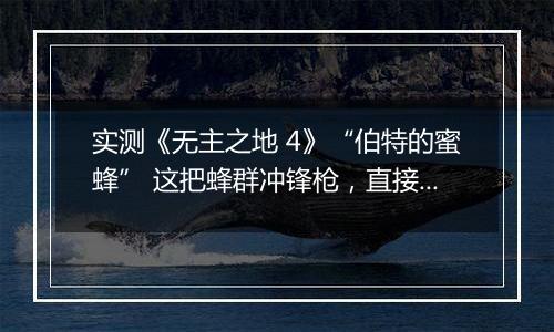 实测《无主之地 4》“伯特的蜜蜂” 这把蜂群冲锋枪，直接把清场爽感拉满