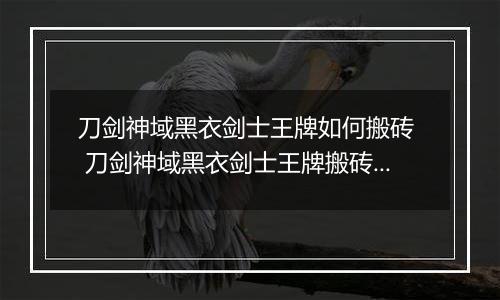 刀剑神域黑衣剑士王牌如何搬砖  刀剑神域黑衣剑士王牌搬砖方法介绍
