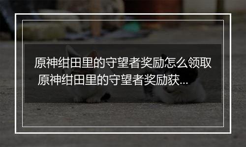 原神绀田里的守望者奖励怎么领取 原神绀田里的守望者奖励获取攻略