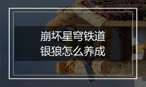 崩坏星穹铁道银狼怎么养成
