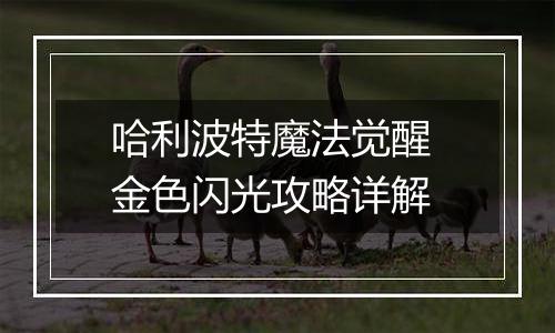 哈利波特魔法觉醒 金色闪光攻略详解