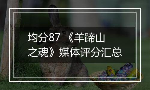 均分87 《羊蹄山之魂》媒体评分汇总