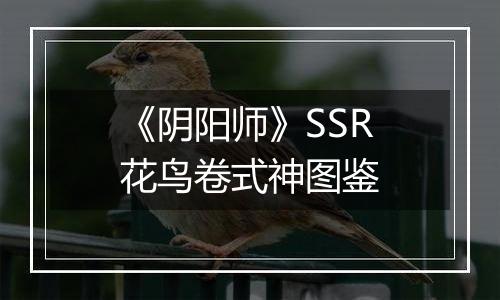《阴阳师》SSR花鸟卷式神图鉴