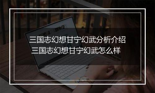 三国志幻想甘宁幻武分析介绍 三国志幻想甘宁幻武怎么样