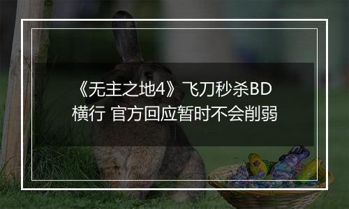 《无主之地4》飞刀秒杀BD横行 官方回应暂时不会削弱