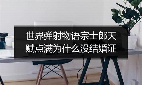 世界弹射物语宗士郎天赋点满为什么没结婚证