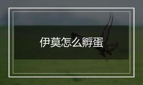 伊莫怎么孵蛋