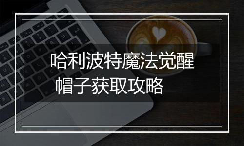 哈利波特魔法觉醒 帽子获取攻略