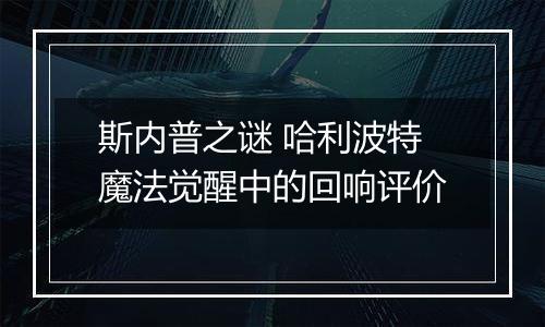 斯内普之谜 哈利波特魔法觉醒中的回响评价