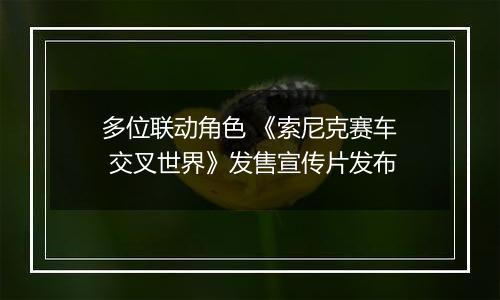多位联动角色 《索尼克赛车 交叉世界》发售宣传片发布