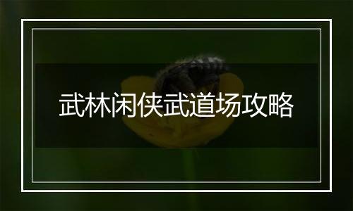 武林闲侠武道场攻略