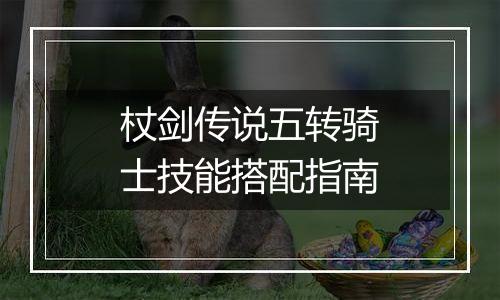 杖剑传说五转骑士技能搭配指南