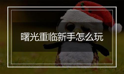 曙光重临新手怎么玩