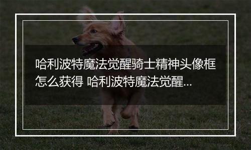 哈利波特魔法觉醒骑士精神头像框怎么获得 哈利波特魔法觉醒骑士精神头像框获得方法