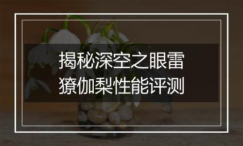 揭秘深空之眼雷獠伽梨性能评测