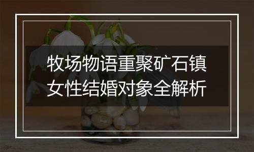 牧场物语重聚矿石镇女性结婚对象全解析