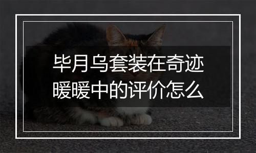 毕月乌套装在奇迹暖暖中的评价怎么