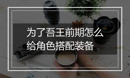 为了吾王前期怎么给角色搭配装备