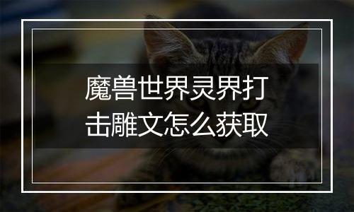 魔兽世界灵界打击雕文怎么获取