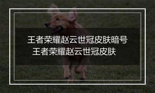 王者荣耀赵云世冠皮肤暗号  王者荣耀赵云世冠皮肤