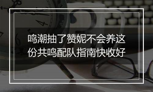 鸣潮抽了赞妮不会养这份共鸣配队指南快收好