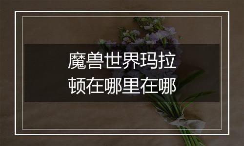 魔兽世界玛拉顿在哪里在哪