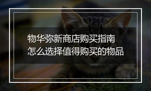 物华弥新商店购买指南 怎么选择值得购买的物品