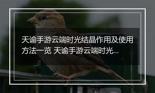 天谕手游云端时光结晶作用及使用方法一览 天谕手游云端时光结晶有什么用