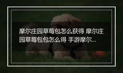 摩尔庄园草莓包怎么获得 摩尔庄园草莓包包怎么得 手游摩尔庄园草莓包