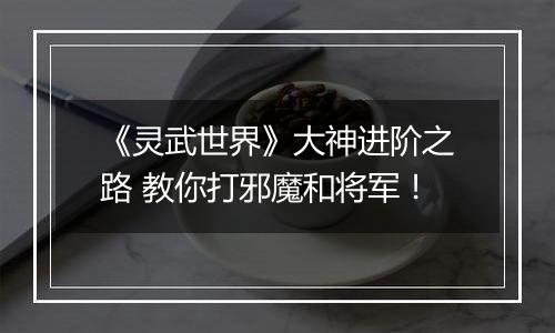 《灵武世界》大神进阶之路 教你打邪魔和将军！