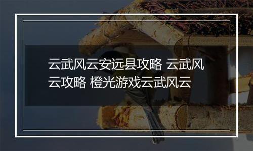 云武风云安远县攻略 云武风云攻略 橙光游戏云武风云